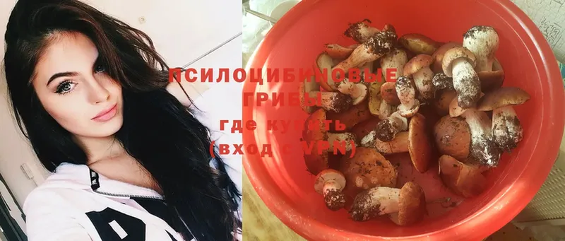 где найти наркотики  Верхнеуральск  Галлюциногенные грибы Psilocybe 